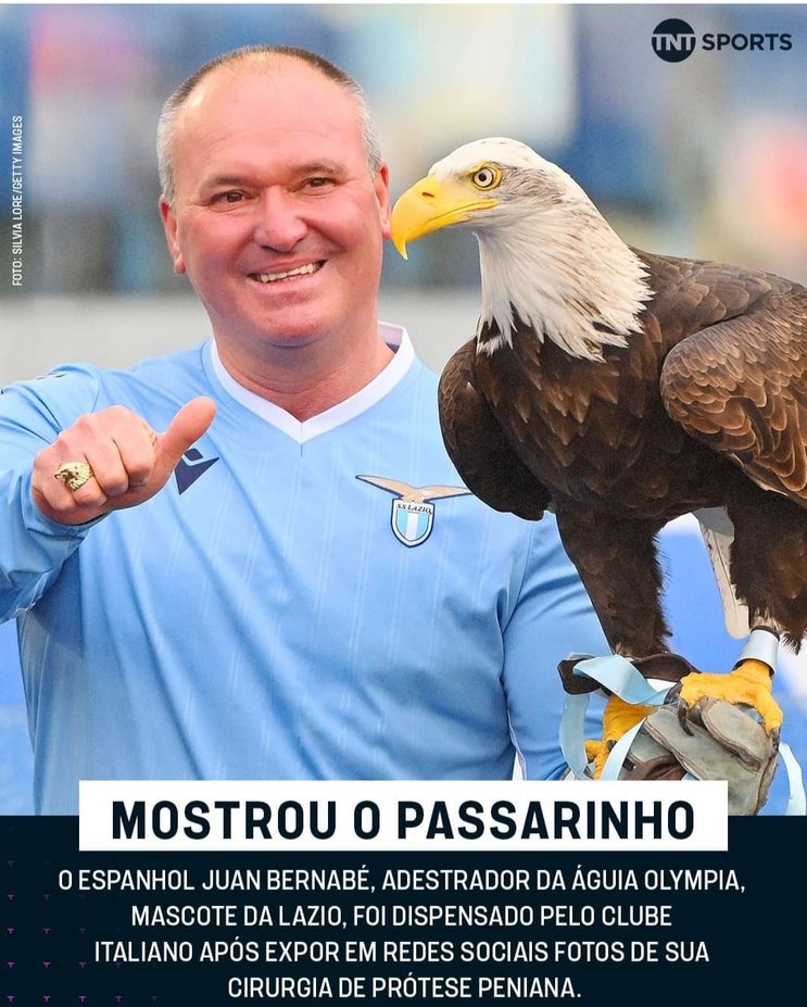 Mostrou o passarinho pra águia - meme