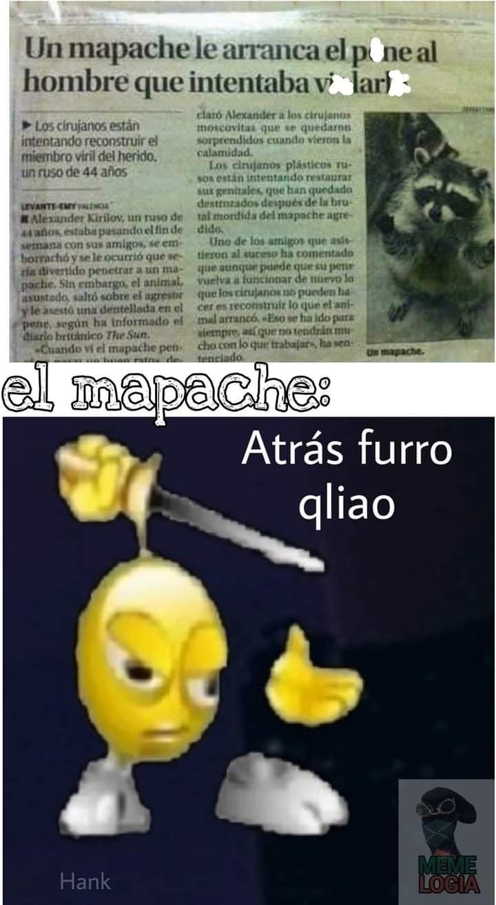 cada persona que vea esto es un furro menos en el mundo - meme