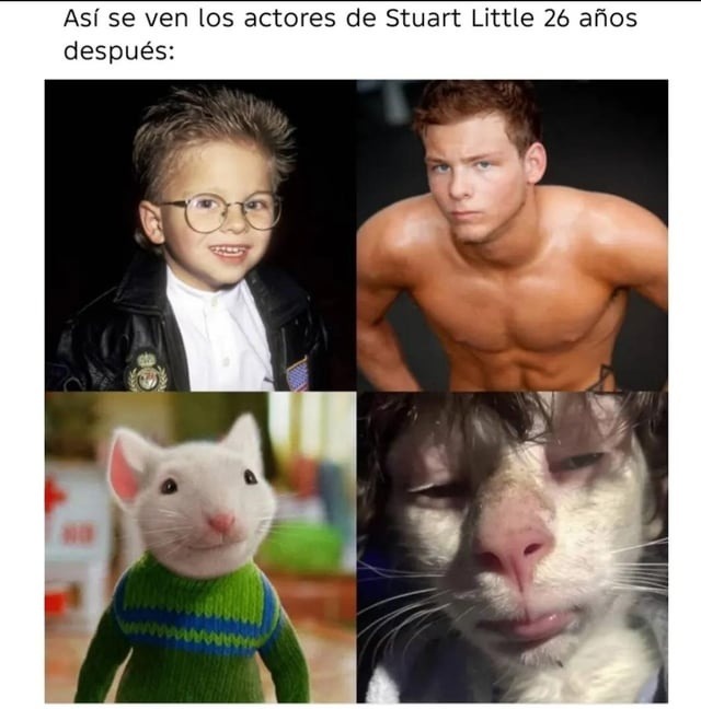 stuart viejo - meme