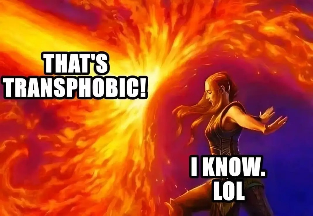 Acknowledging reality is transphobic soooo - meme