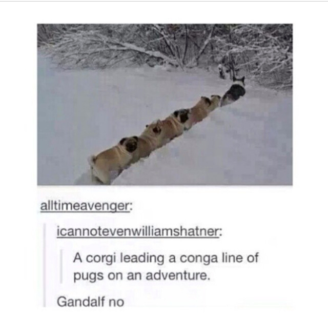Gandalf nu - meme