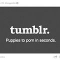 Welcome to Tumblr.