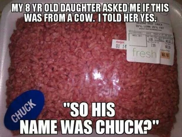 Chuck the cow - meme