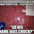 Chuck the cow