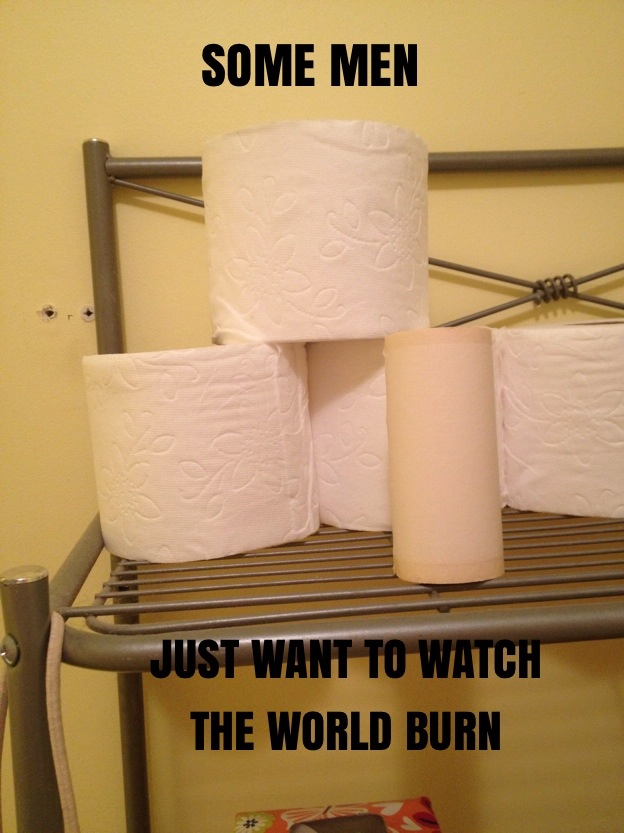 Lint roll vs. toilet paper - meme