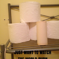 Lint roll vs. toilet paper