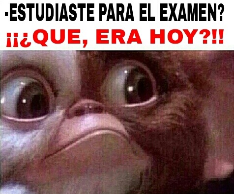 Examen - meme