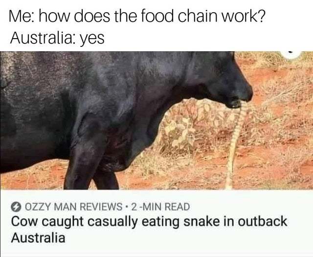 How does the food chain work? - meme