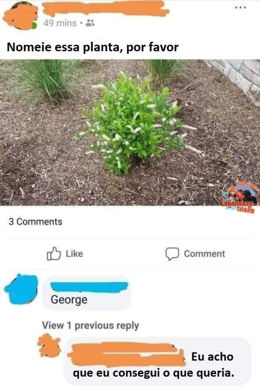 Conheça George, a planta ;) - meme