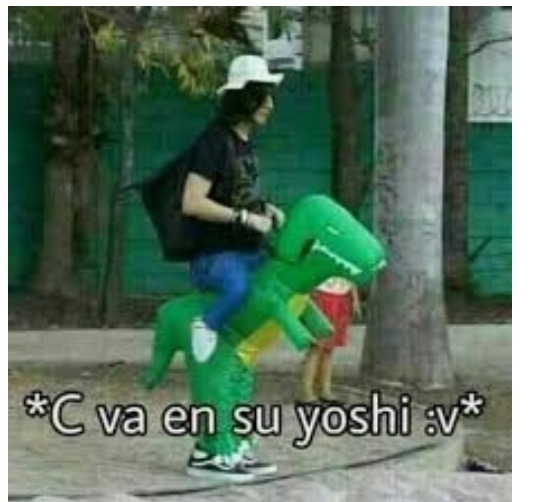 Yoshi - meme