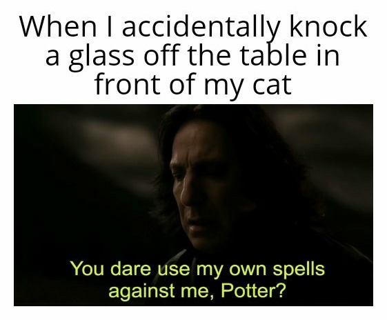 Cat Snape - meme