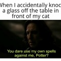 Cat Snape