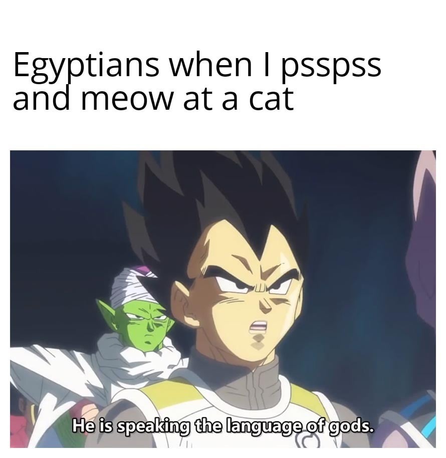 Cat language - meme