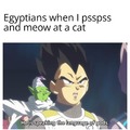 Cat language