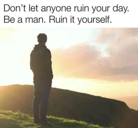 Ruin it yourself - meme