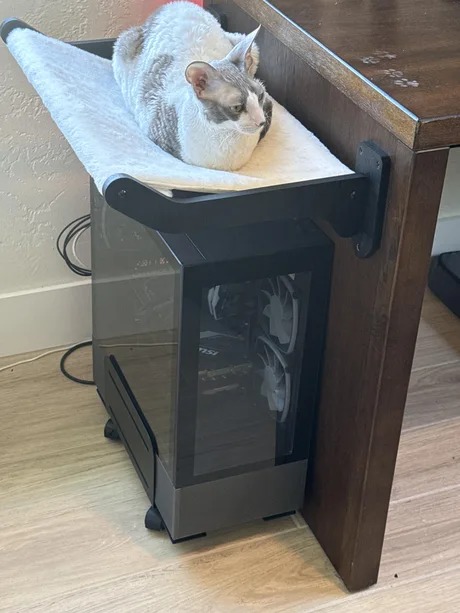 put your cat bed over your pc - meme