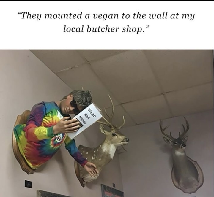 ﻿mounted a vegan to the wall at my local butcher shop. 4 ~They 1 1