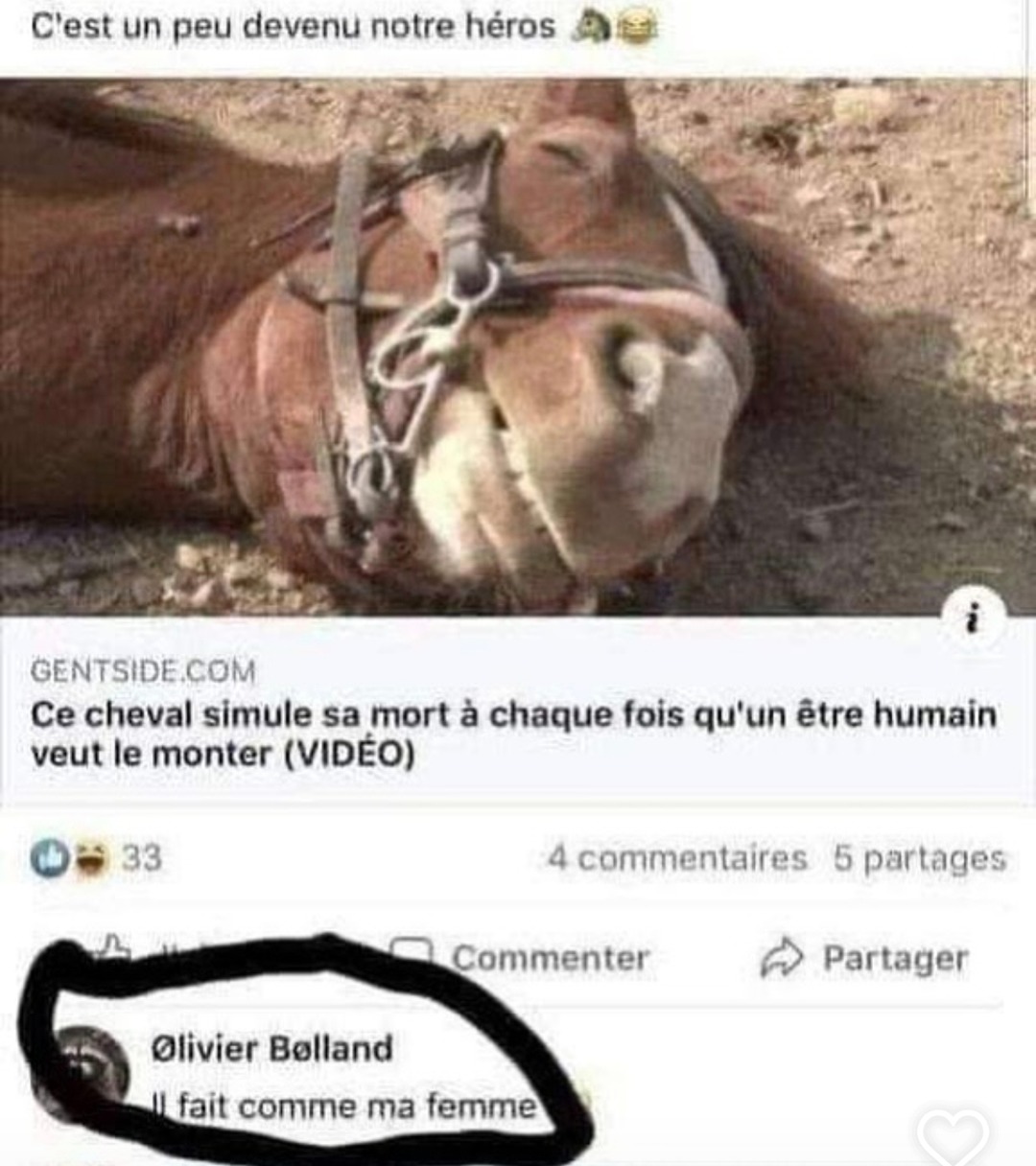 Ce cheval qui ragequit à chaque fois qu’on veut monter dessus - meme