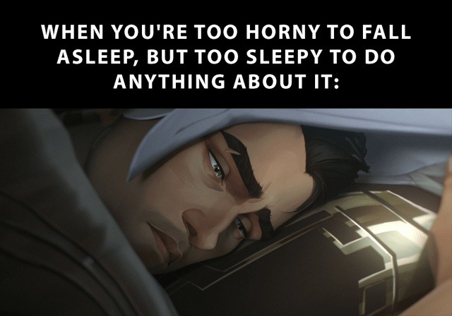Horny brain vs sleepy body: the eternal battle - meme