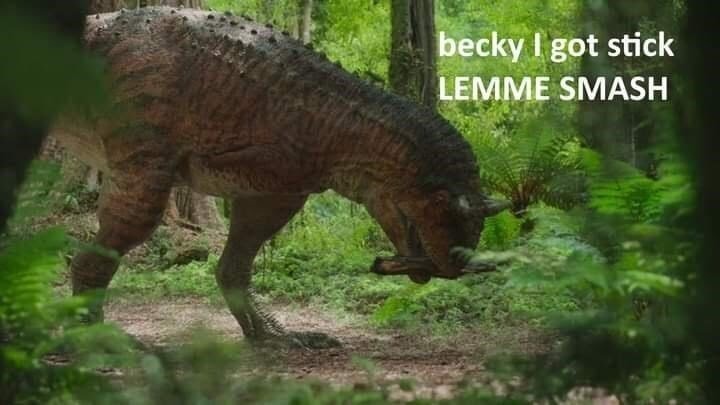 Becky lett me smash...pls - meme