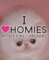 Shout out to all the cool homies. - meme