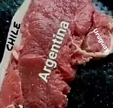 carne asada - meme