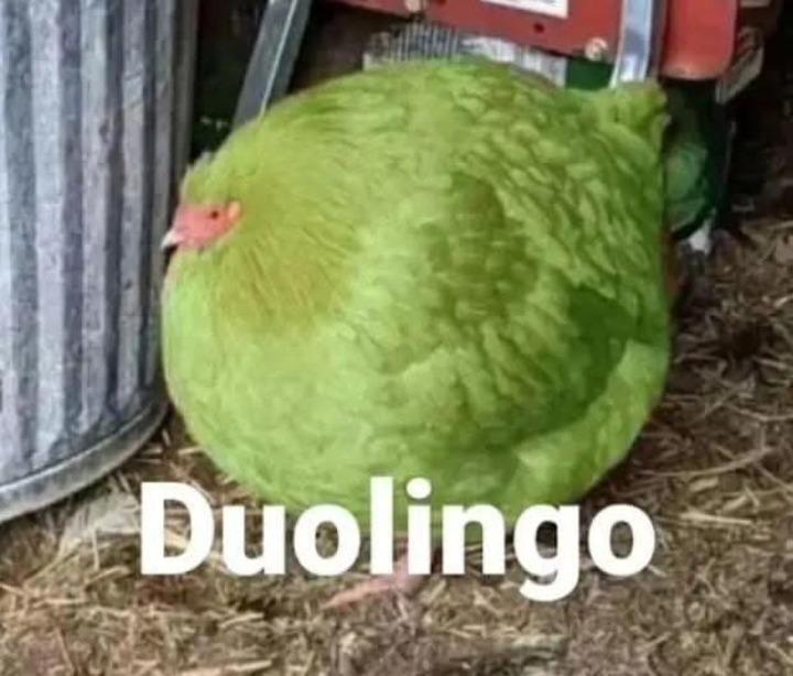 Sigo vivo csm - meme