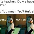 Not ted