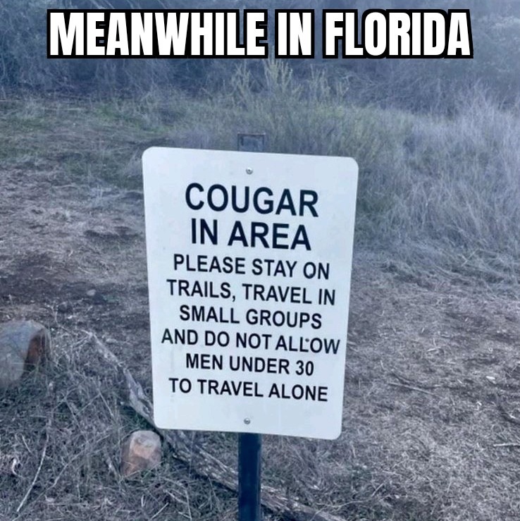 Cougars and panthers both live in Florida - meme