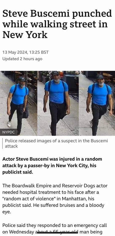 Steve Buscemi punched while walking street in New York - meme