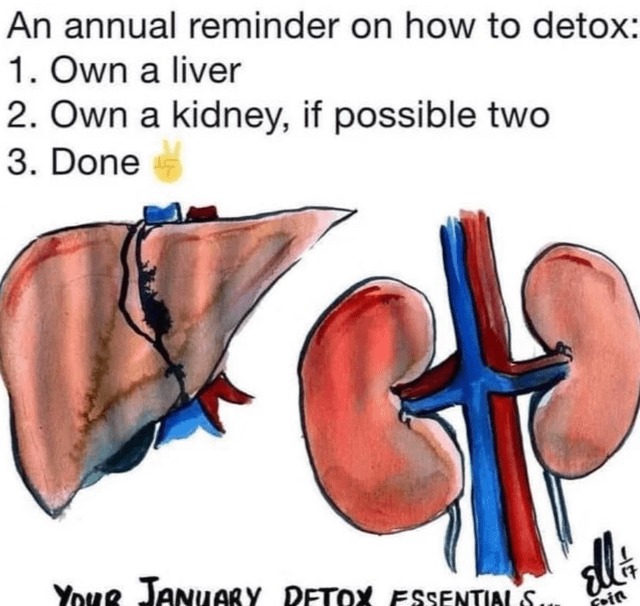 How to detox - meme