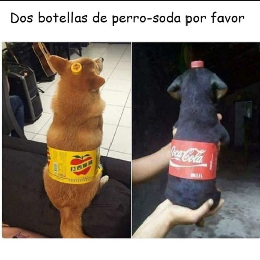 Titulo - meme