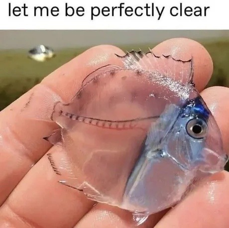 Let me be perfectly clear: I have no idea what's going on - meme