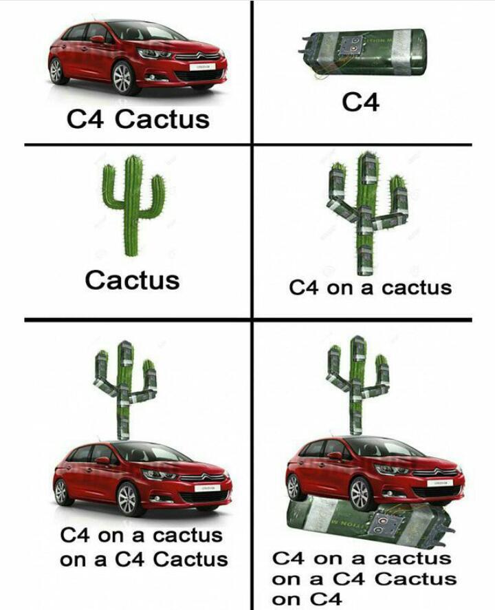 C4 cactus en un C4 - meme
