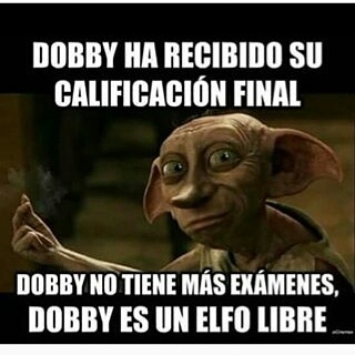 Doby  es un elfo libre - meme