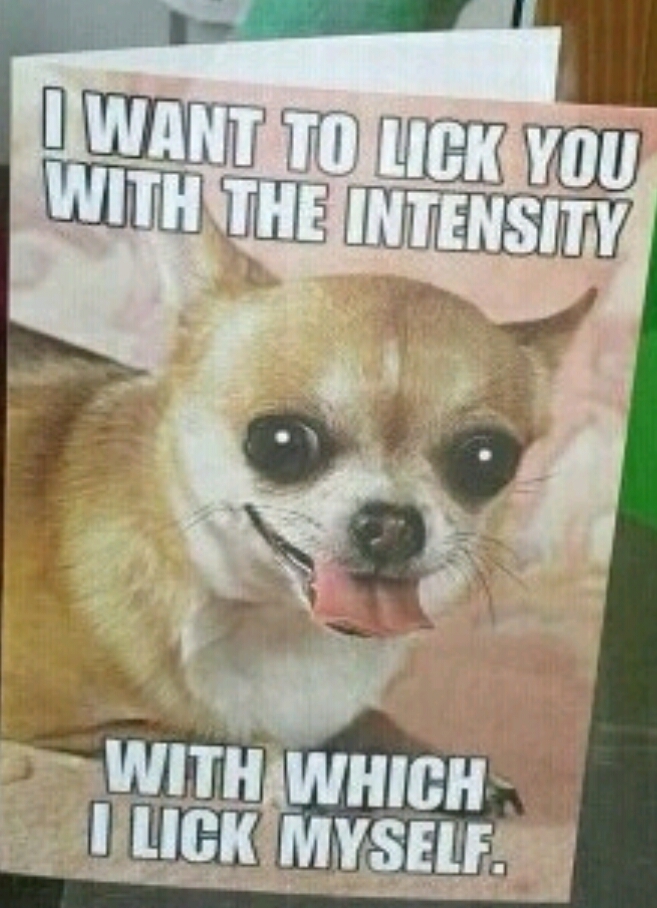 You can lick me baby - meme