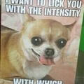 You can lick me baby