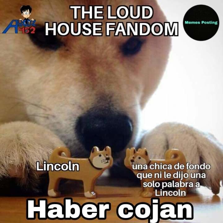 El fandom de the loud house es enfermo ._. - meme