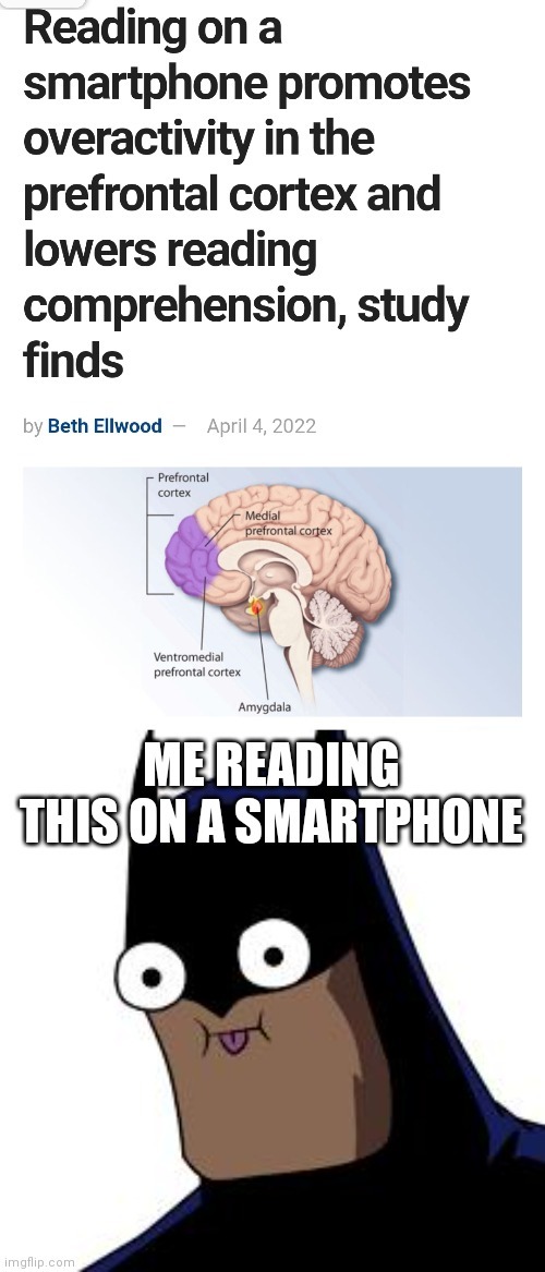 I bet you are also looking at this on a smartphone - meme