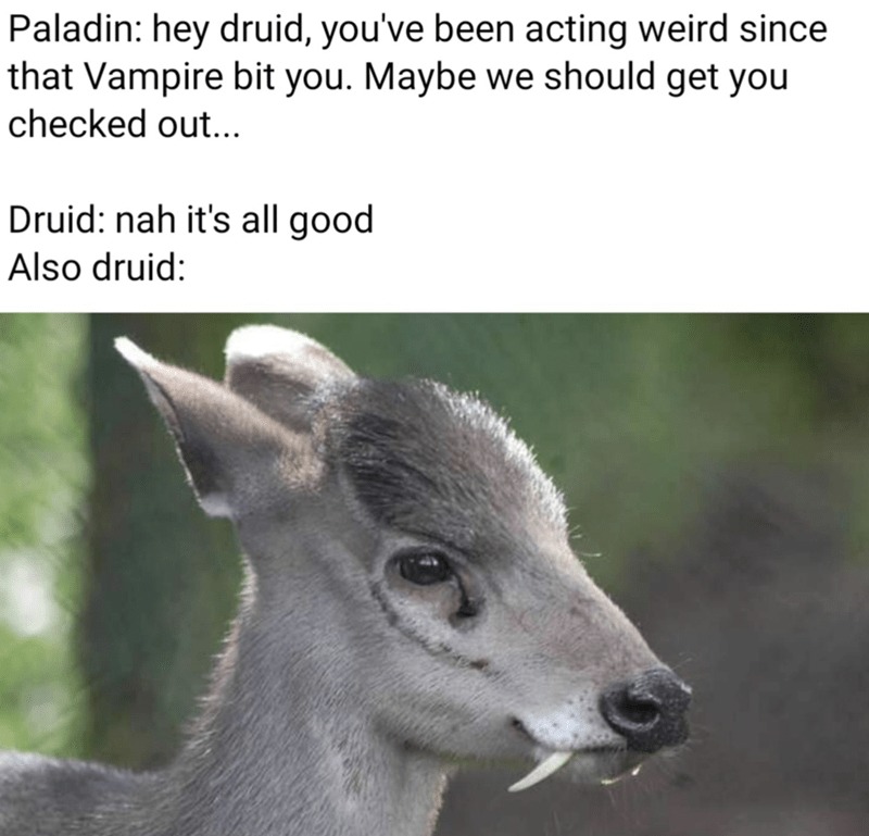 Druids - meme