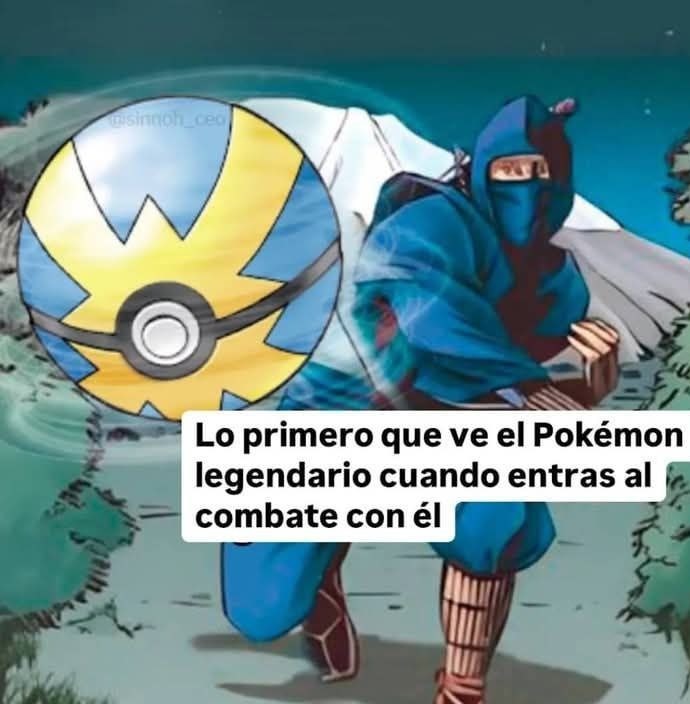Lo primero que ve el Pokémon legendario cuando entras al combate con él - meme