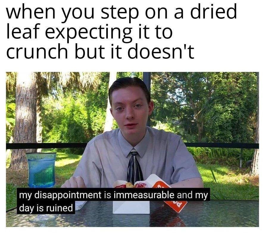 Stepped on a dry leaf. It didn’t crunch. Day ruined. - meme