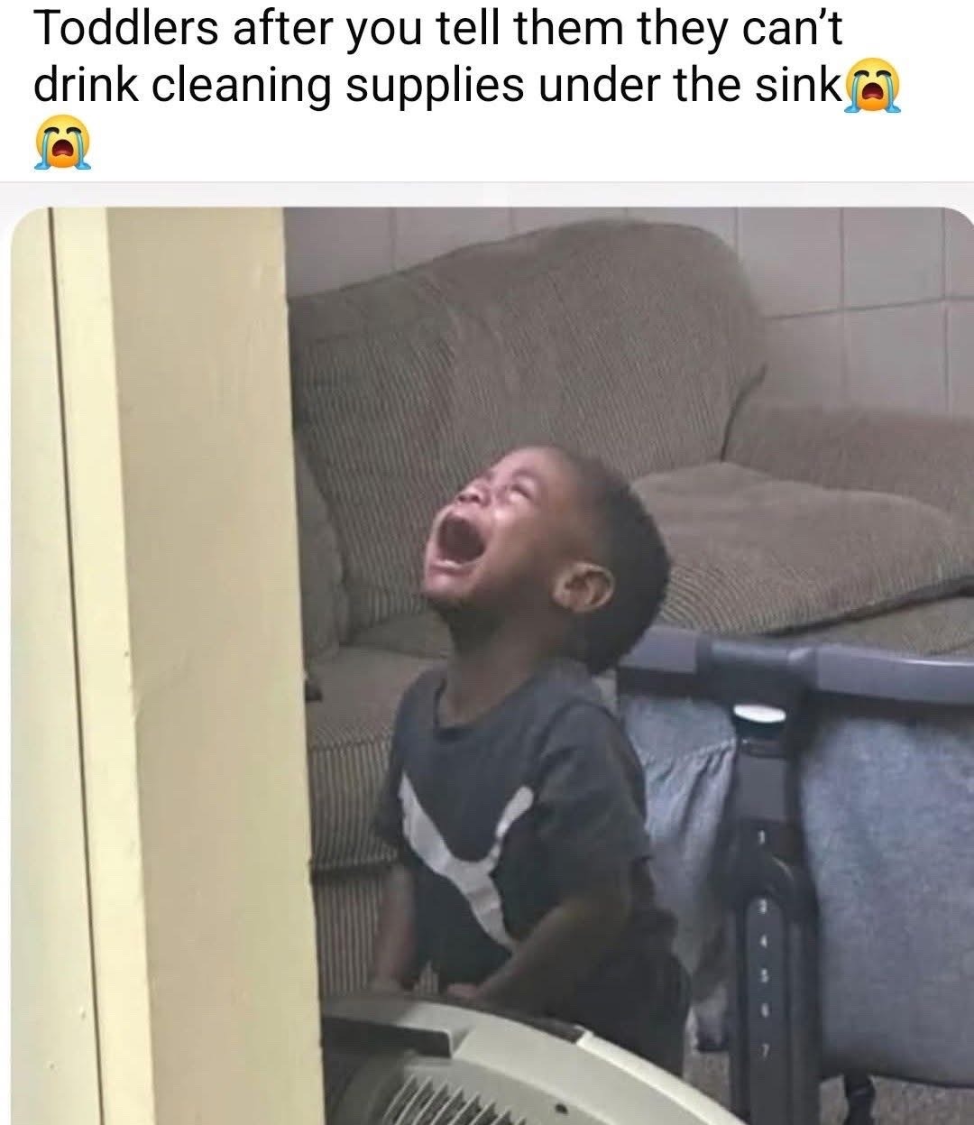 ﻿Toddlers after you tell them they can’t drink cleaning supplies under the sink