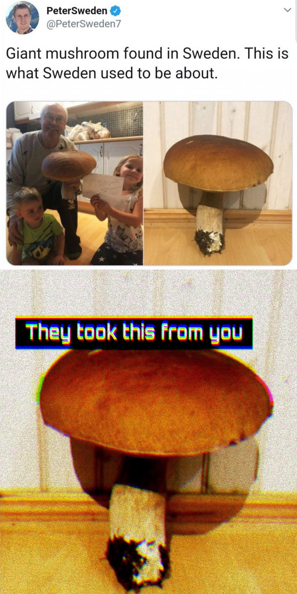 dongs in a mushroom - meme
