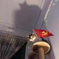 Mi gato se volvió comunista