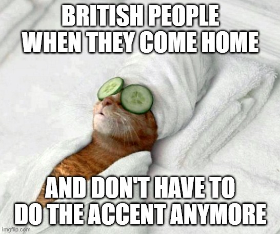 British people when they come home and don't have to do the accent anymore - meme
