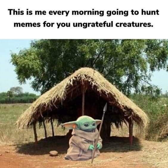 Ungrateful creatures - meme