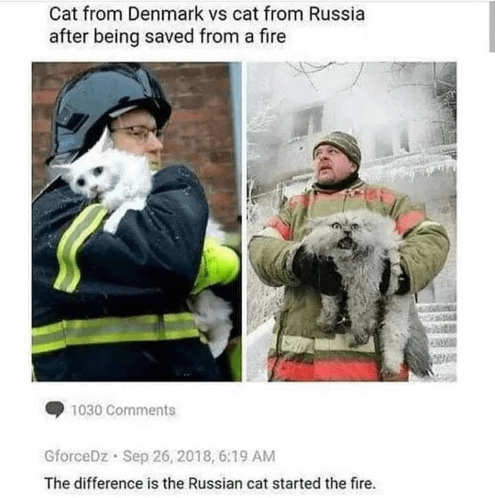Russian cat meme