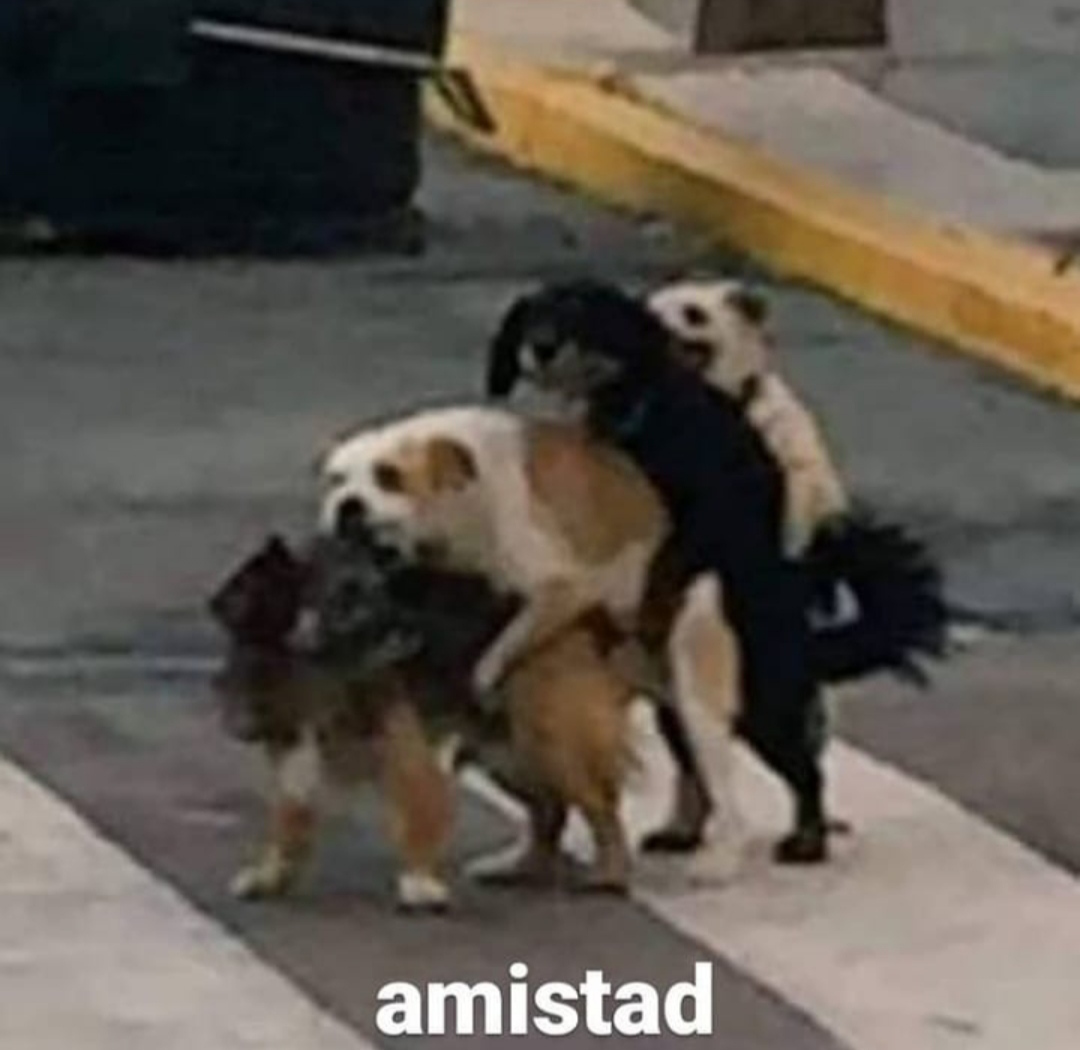 AMISTAD - meme