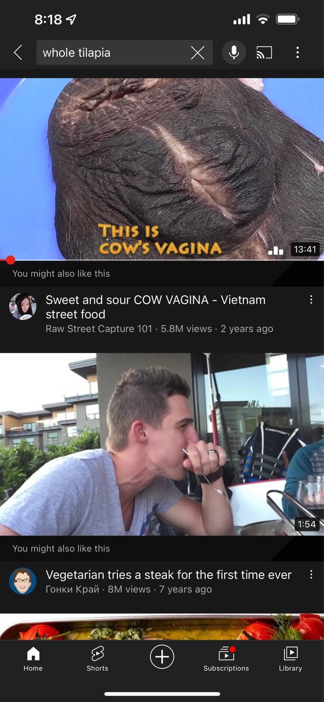 Cow Coochie - meme